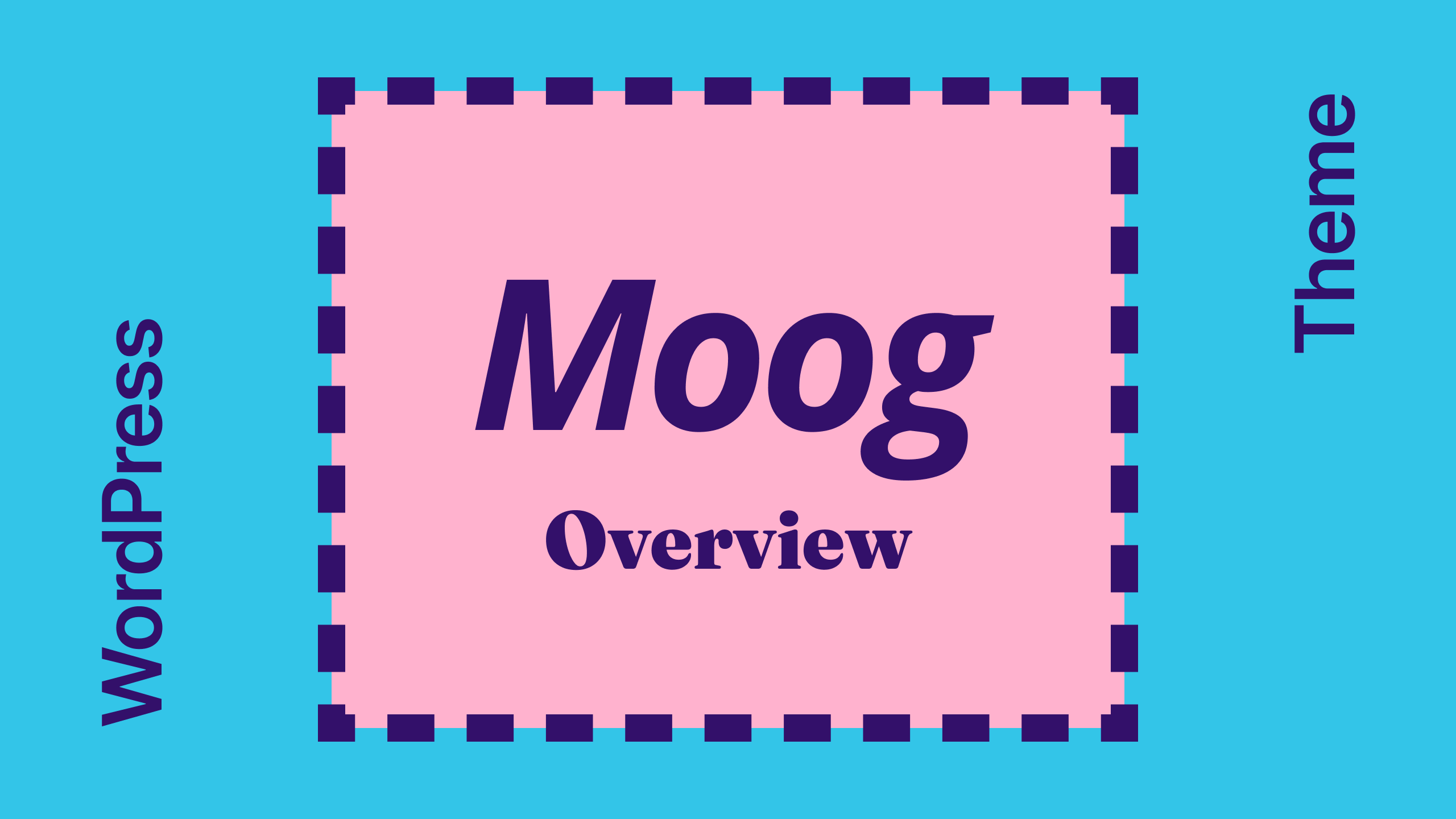 Moog Introdution video
